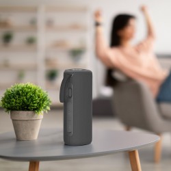 Mini Enceinte Portable Noir Sans Fil Kodak PWS-2246