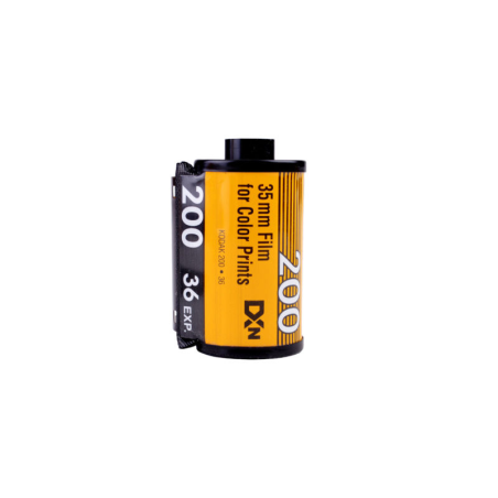 Kodak Portra 400 Pellicola A Colori 135 - 36 Pose - Confezione Da 5 Rullini - Per Fotografia Professionale - Foto 14