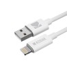 Câble USB Premium vers Port Lightning Kodak - Chargement rapide