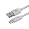 Câble USB vers USB-C Kodak - Connectivité fiable