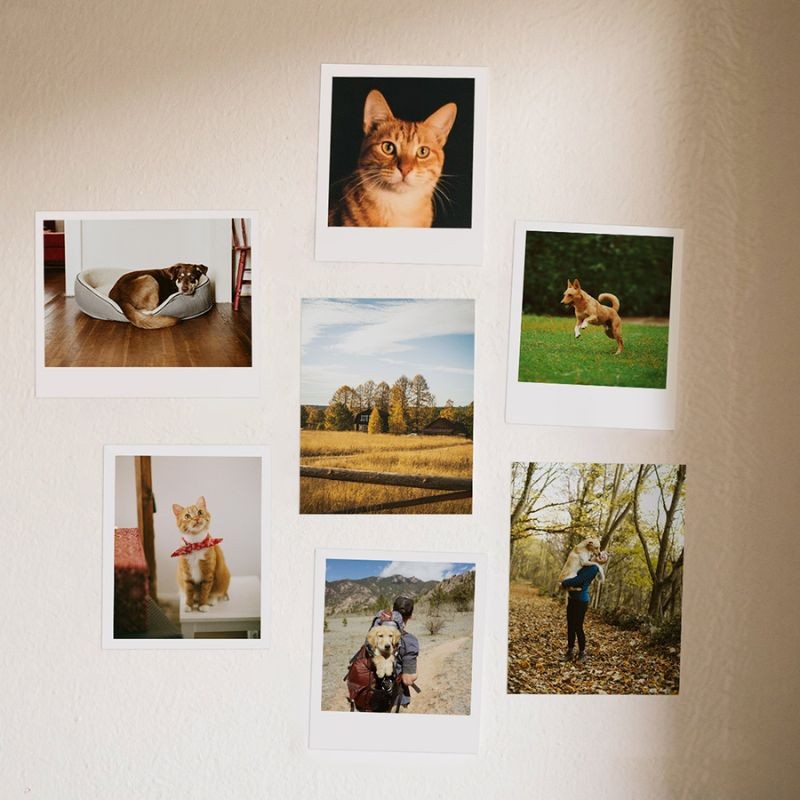 Sticker Paper Kodak 120gsm A4 - 10 sheets - Kodak official site