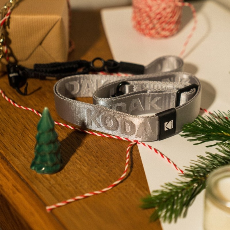 Exklusive Weihnachts-Geschenkbox: Kodak AZ425 Bridge, Zubehör & Fotoabzüge-Gutscheinkarte