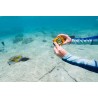 Pack Compact Camera Kodak PixPro WPZ2 Jaune + Carte SD 16Go - Waterproof 15m