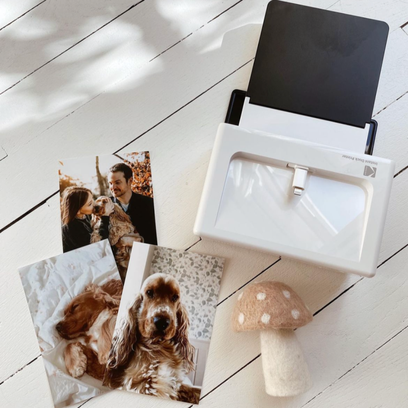 Tragbarer Fotodrucker PD460 - Postkartenformat